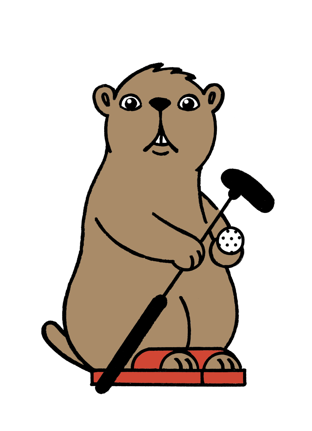 BERGEN Campingen EN bergen-campingen-en